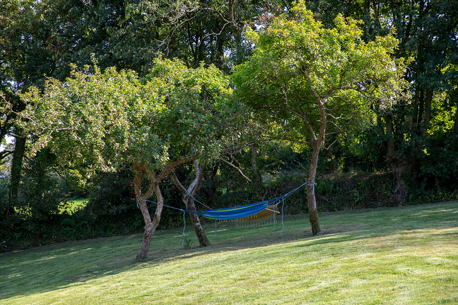 Wood Farm Holiday Cottages 5 star selfcatering near the South Devon coast